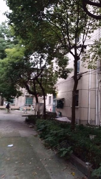 三林路785弄小区 