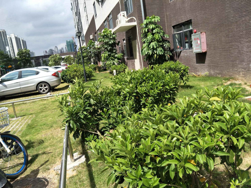 惠湾花园,龙山十路-惠州惠湾花园二手房,租房,房价-惠州安居客