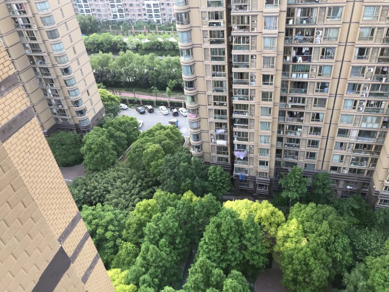 三花现代城香梅苑