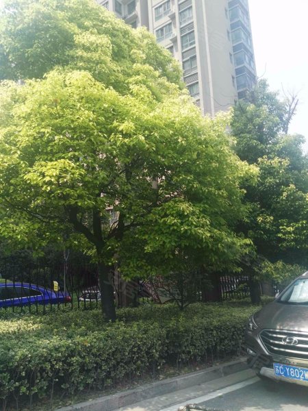 风尚自由城,中山北路225号-徐州风尚自由城二手房,租房,房价-徐州安居