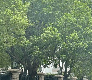 东郊花园(二期)