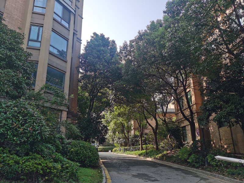 绿洲桂花城,临湖路1号-池州绿洲桂花城二手房,租房,房价-池州安居客