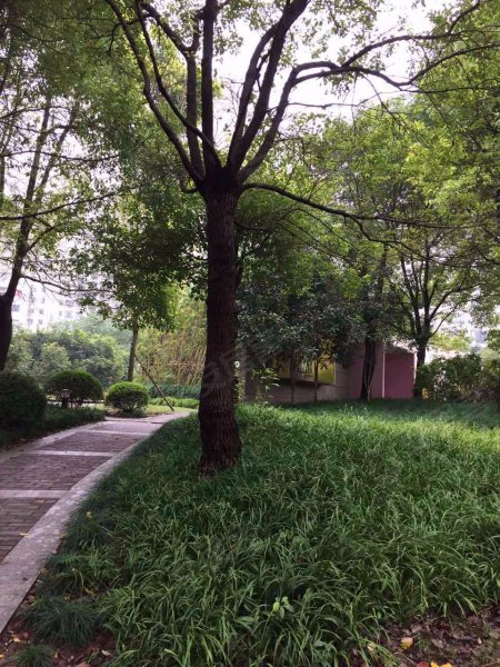 三花现代城丹桂苑 