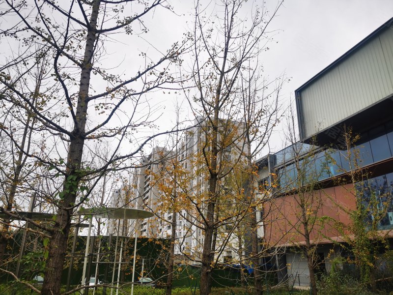 阳光城青溪水岸