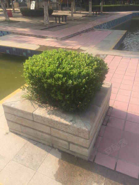 水景花苑,环城西路61号-济宁水景花苑二手房,租房,房价-济宁安居客