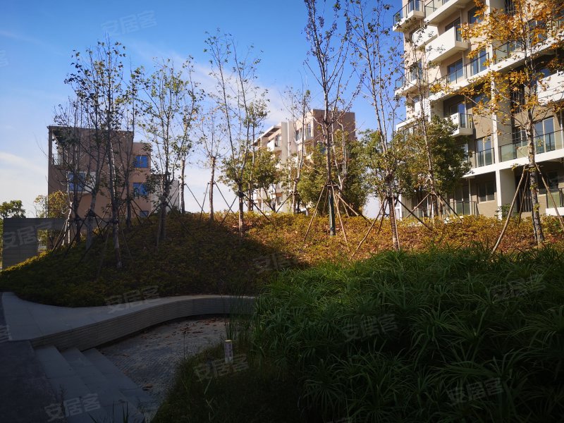 景湖花园(东区),云东路62号-嘉兴景湖花园(东区)二手房,租房,房价