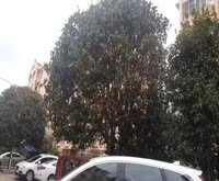 金桥湾南二小区 