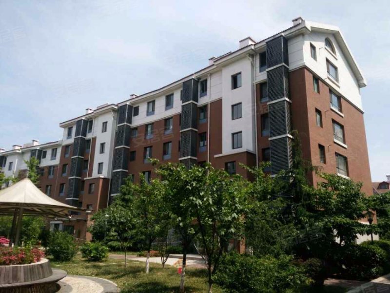 金色国际公寓,东海一路25号-青岛金色国际公寓二手房,租房,房价-青岛