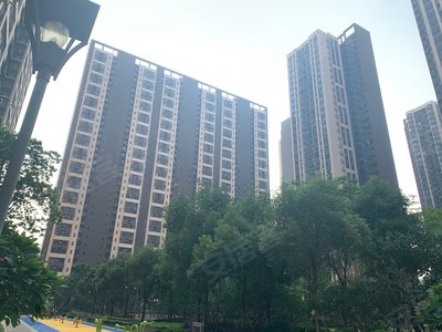 万科金色家园万科里