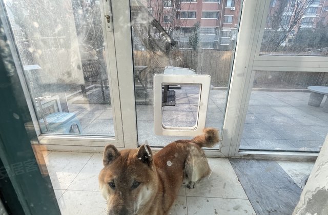 春天花园3室2厅130㎡145万二手房图片