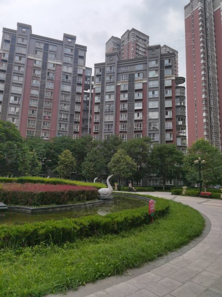 信达现代城(乐天大街)