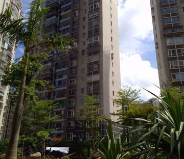 金海湾 高楼层采光充足 电梯房 近地铁 满五   双卫