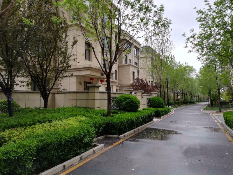 御赵金台(公寓住宅)