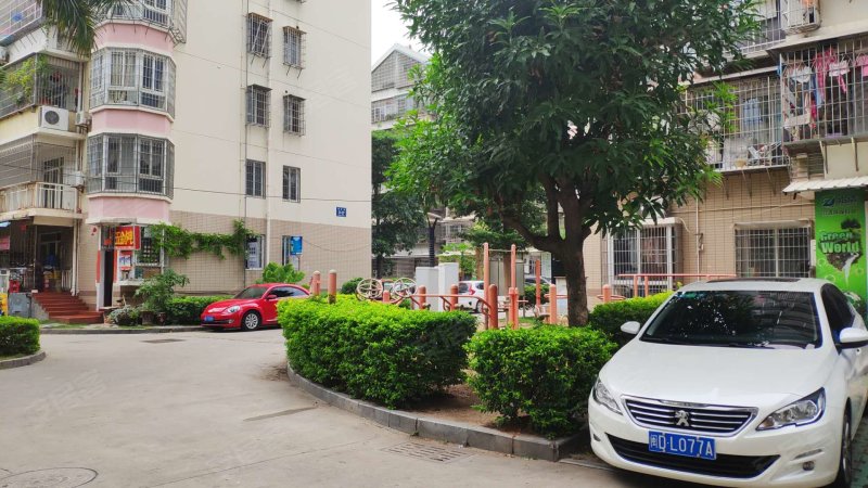 莲坂新村小区(三区),莲景路23-85号-厦门莲坂新村小区(三区)二手房