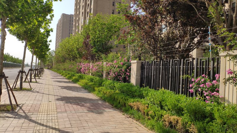 鲁能公馆一号院,龙泽东路36号-郑州鲁能公馆一号院二手房,租房,房价