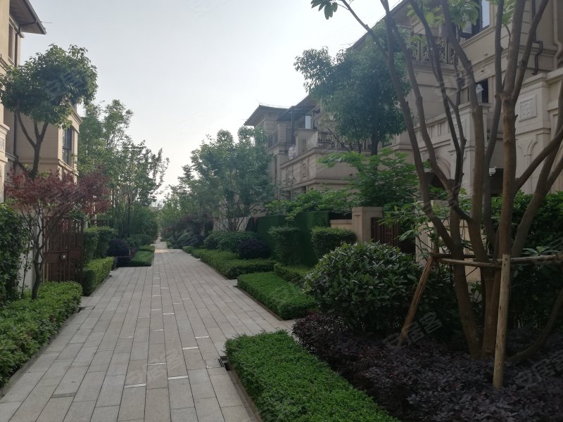 新江与城天奕(别墅)