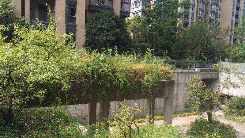 保亿风景蝶院留园,光裕路112号-杭州保亿风景蝶院留园二手房,租房