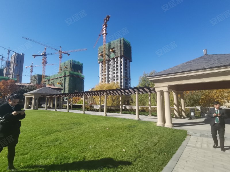 新湖仙林金谷(南区)