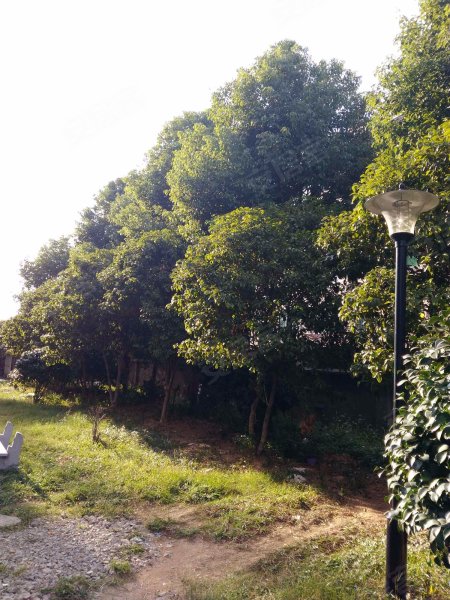 雅香园,昌盛街79号-金华雅香园二手房,租房,房价-金华安居客