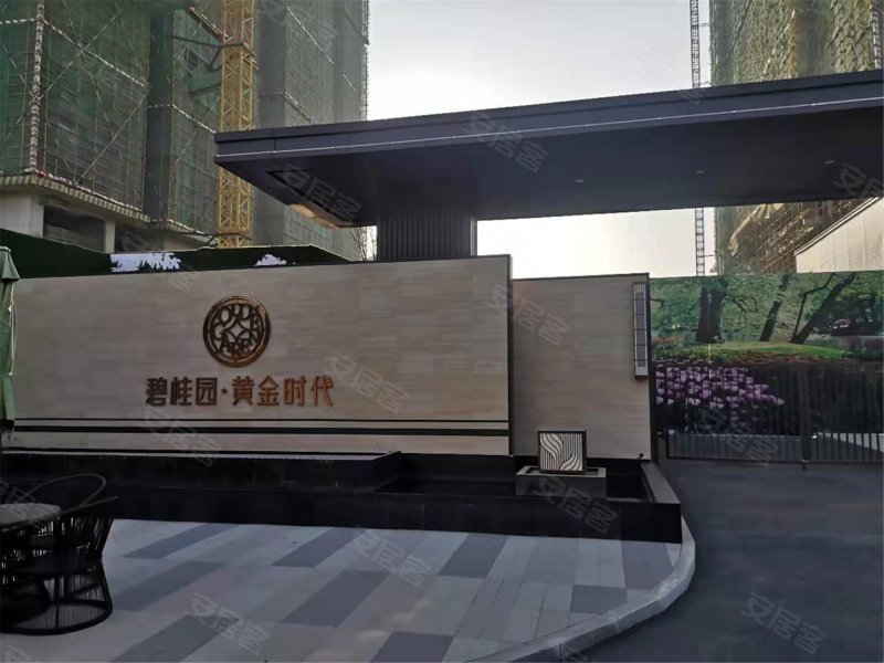 碧桂园黄金时代