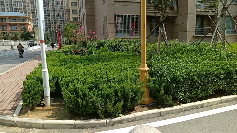 丰泽领秀城