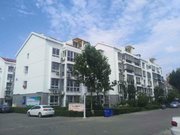 辛口镇小区图片