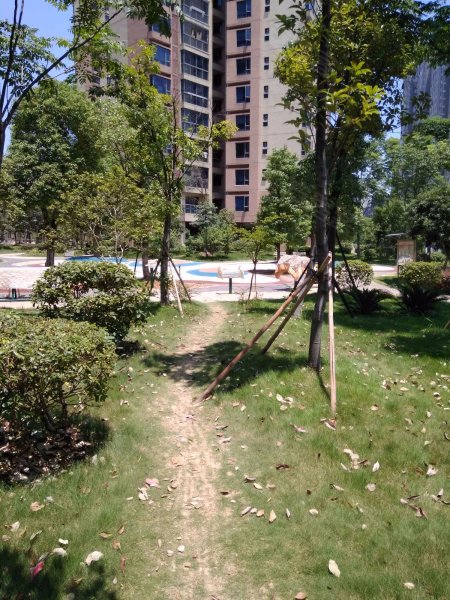 珠江花城扶水岸