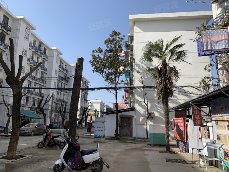 绿影新村,银湖中路71号-芜湖绿影新村二手房,租房,房价-芜湖安居客