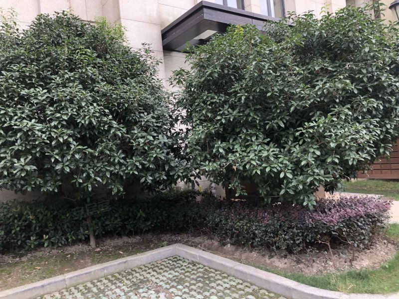 华润中央公园(四期公寓住宅) 