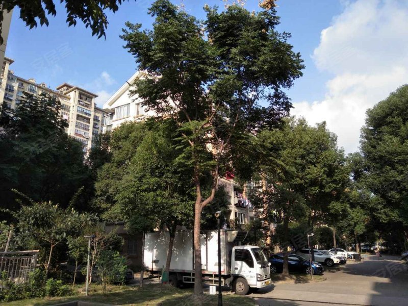 虹梅新苑(南区)