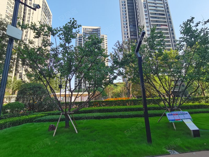 铂悦澜庭璞园,65国道-重庆铂悦澜庭璞园二手房,租房,房价-重庆安居客