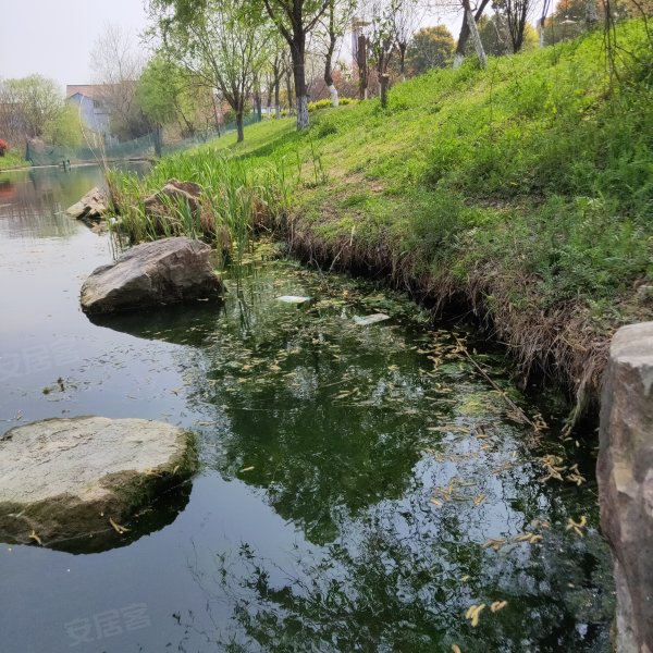 翠湖湾(别墅),东陈东路,近东风河东路-如皋翠湖湾(别墅)二手房,租房