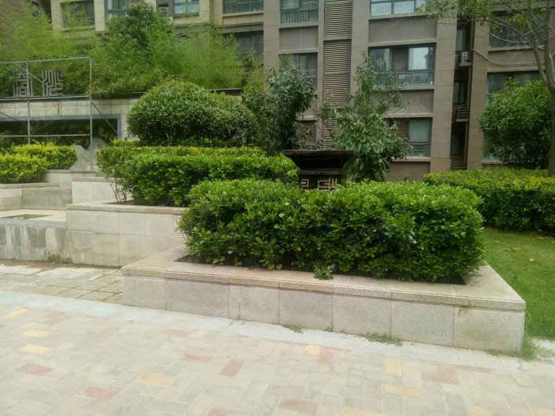沙窝李新型社区