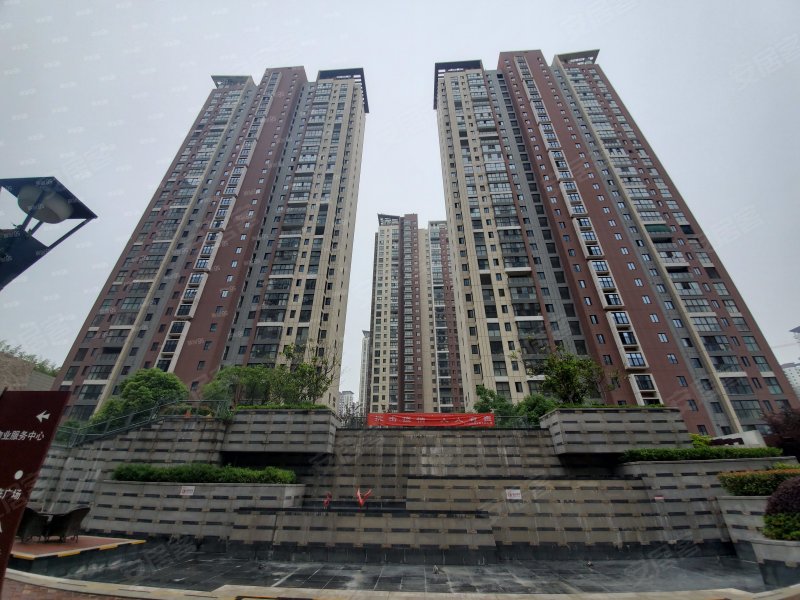 星河国际(五区)