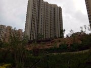 高新腾飞软件园 中铁诺德滨海花园一期精装修两室