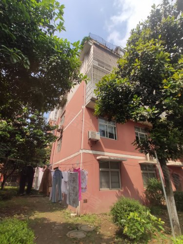 玉兰花园,江津中路195-16号 - 荆州玉兰花园二手房,租房,房价-荆州