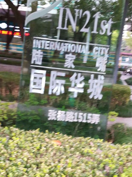 陆家嘴国际华城 