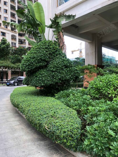 龙泉湾,海滨大道南61号-湛江龙泉湾二手房,租房,房价-湛江安居客