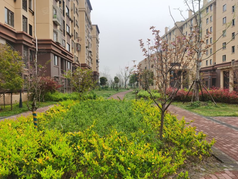 佘北家园士辰苑,刘家山路1088弄-达州佘北家园士辰苑二手房,租房,房价