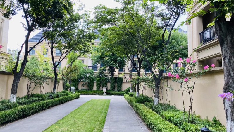 理想之城玫瑰园