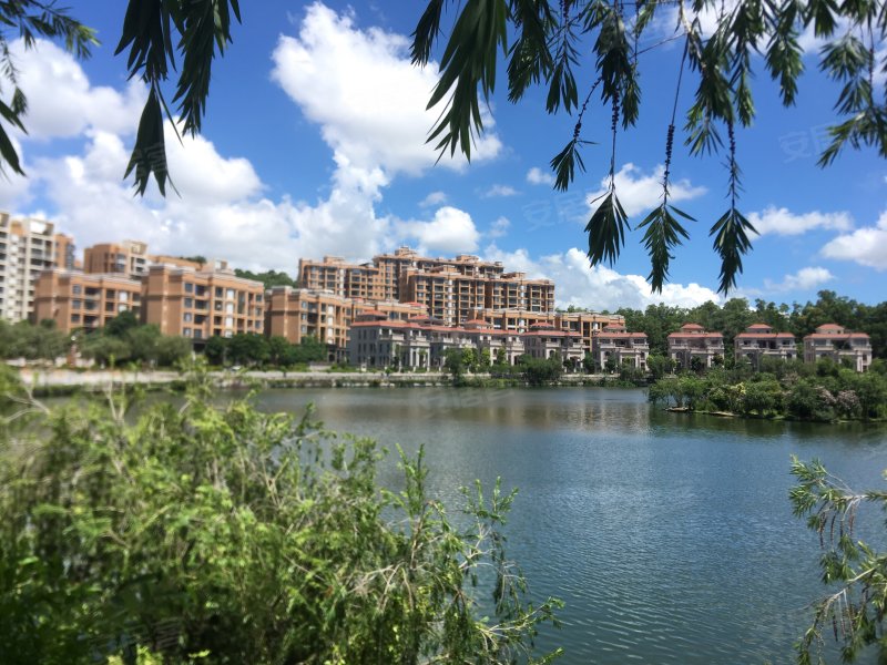 云岭山庄,青云径5号-汕尾云岭山庄二手房,租房,房价-汕尾安居客