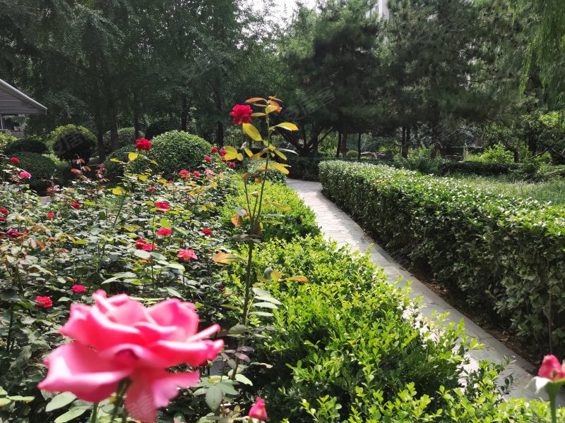 格调小区,马连道路6号-北京格调小区二手房,租房,房价-北京安居客