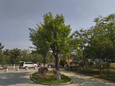 九里仓九山树,翠山路 - 无锡九里仓九山树二手房,租房,房价-无锡安居