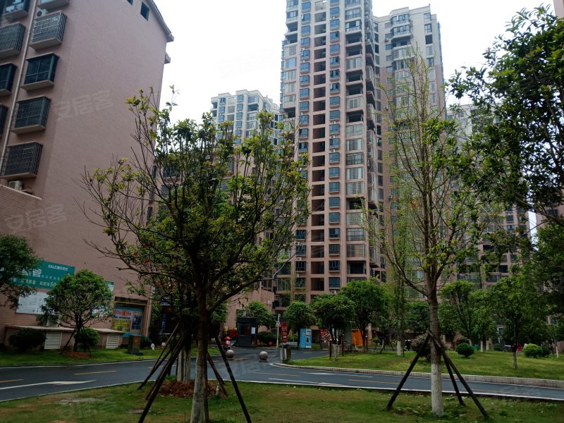 书香名邸(冷水滩),传芳路-永州书香名邸(冷水滩)二手房,租房,房价