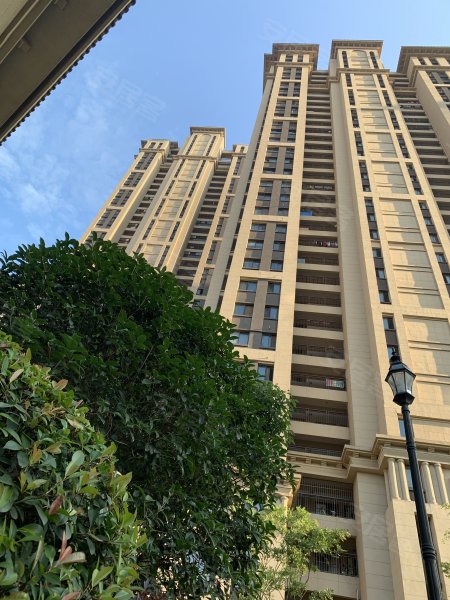 绿地新都会,金寨南路,近天海路-合肥绿地新都会二手房,租房,房价-合肥