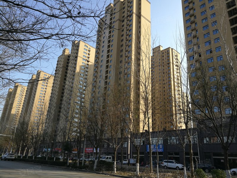 东城国际(牡丹),长江路-菏泽东城国际(牡丹)二手房,租房,房价-菏泽