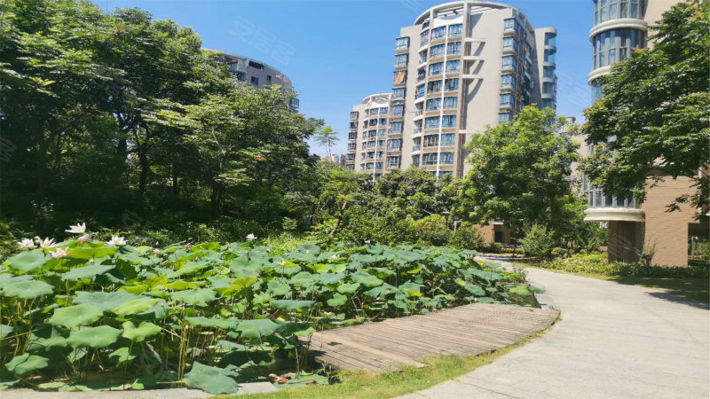 大儒世家观岚,梅兰路9号-福州大儒世家观岚二手房,租房,房价-福州安居