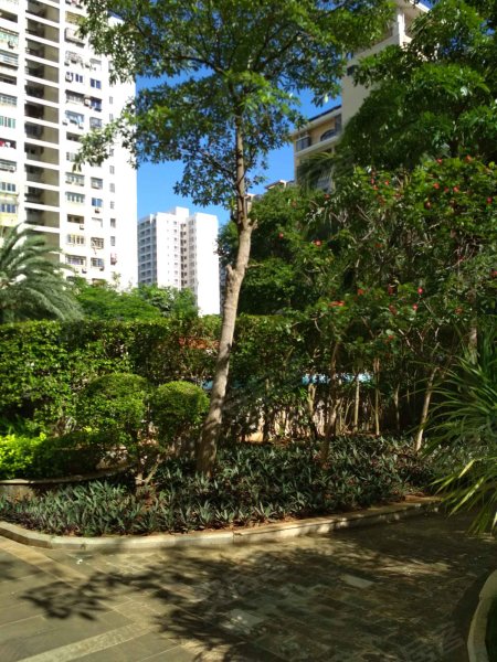 海岸郁金香花园,德利路11-6号-海口海岸郁金香花园二手房,租房,房价