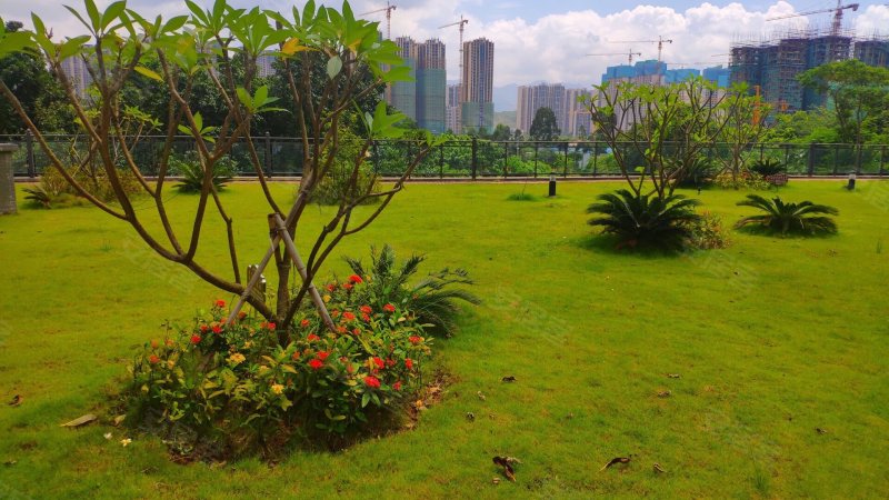 紫辰名苑,响水北路2号