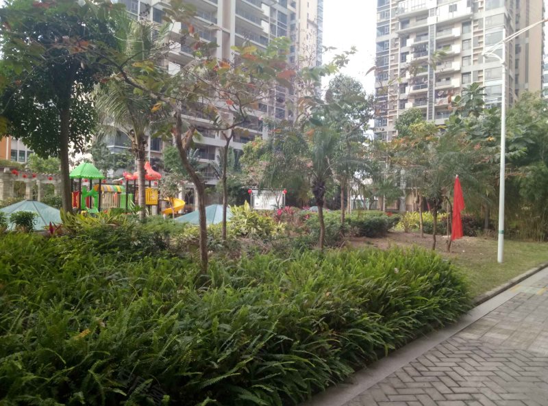 坪洲新村一期,海城路259号-深圳坪洲新村一期二手房,租房,房价-深圳